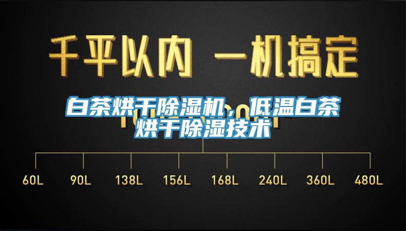 白茶烘干除濕機，低溫白茶烘干除濕技術(shù)