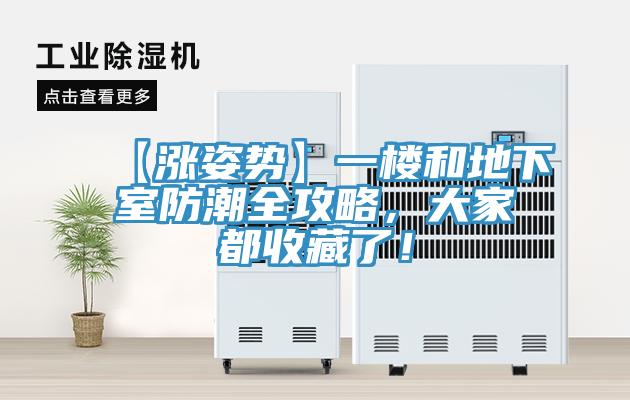 【漲姿勢】一樓和地下室防潮全攻略，大家都收藏了！