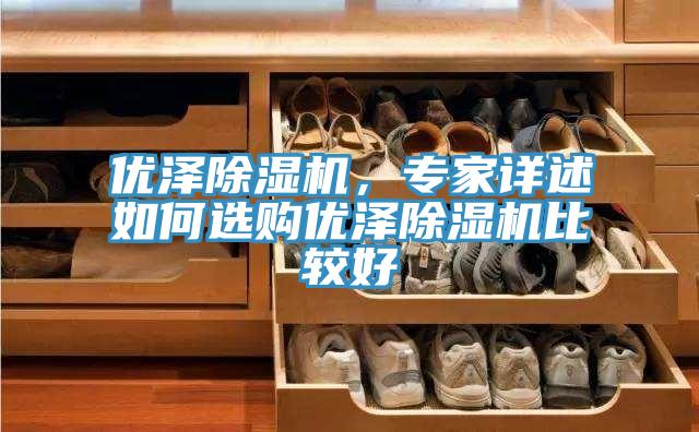 優澤除濕機，專家詳述如何選購優澤除濕機比較好