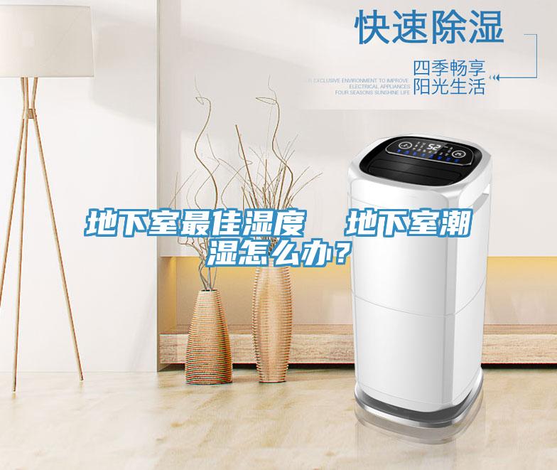 地下室最佳濕度  地下室潮濕怎么辦？