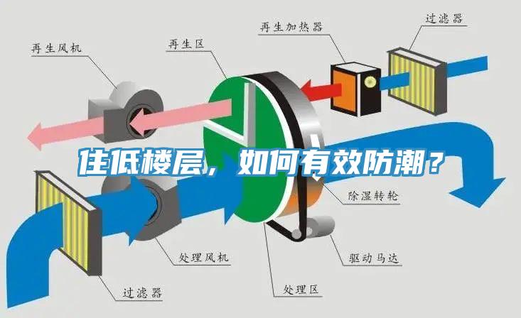 住低樓層，如何有效防潮？