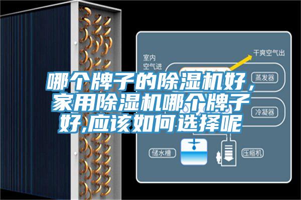 哪個牌子的除濕機好，家用除濕機哪個牌子好,應該如何選擇呢