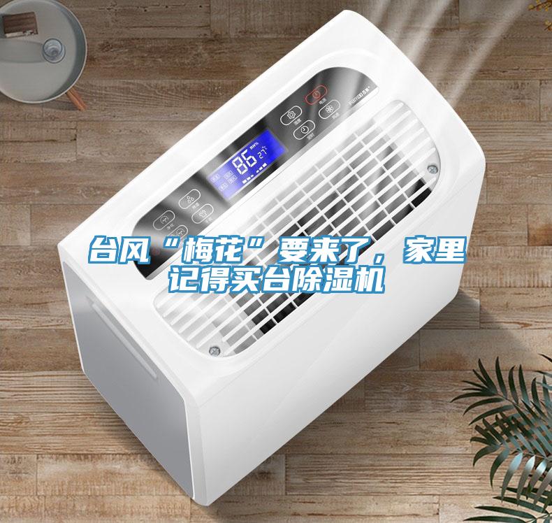 臺風“梅花”要來了，家里記得買臺除濕機