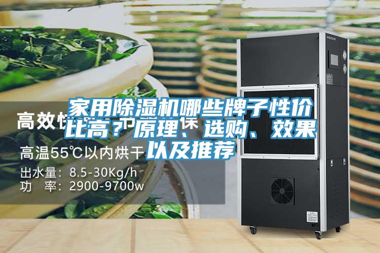 家用除濕機(jī)哪些牌子性價(jià)比高？原理、選購、效果以及推薦