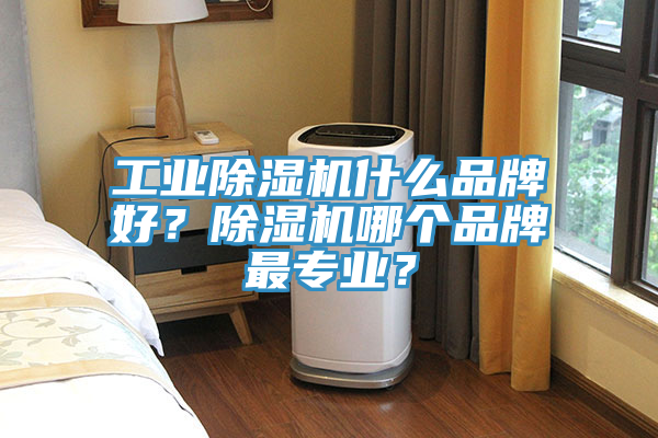 工業(yè)除濕機(jī)什么品牌好？除濕機(jī)哪個(gè)品牌最專業(yè)？