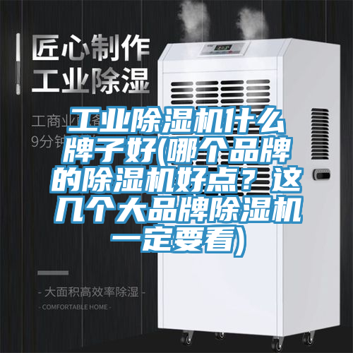 工業(yè)除濕機(jī)什么牌子好(哪個(gè)品牌的除濕機(jī)好點(diǎn)？這幾個(gè)大品牌除濕機(jī)一定要看)
