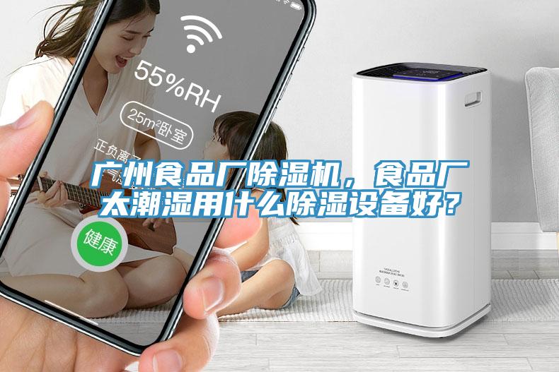 廣州食品廠除濕機(jī)，食品廠太潮濕用什么除濕設(shè)備好？