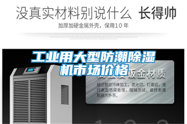 工業用大型防潮除濕機市場價格