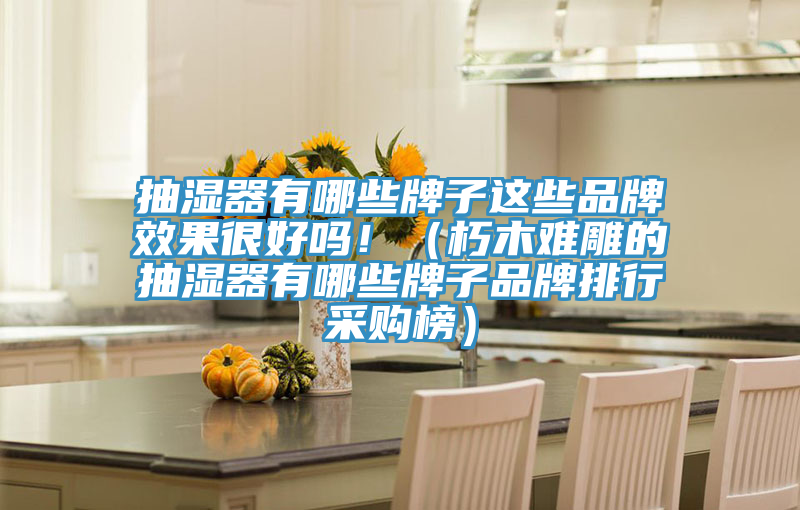抽濕器有哪些牌子這些品牌效果很好嗎?。ㄐ嗄倦y雕的抽濕器有哪些牌子品牌排行采購(gòu)榜）