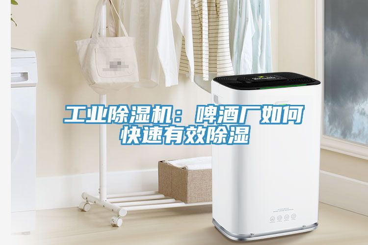 工業除濕機：啤酒廠如何快速有效除濕