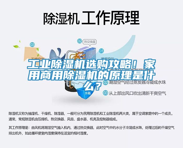 工業除濕機選購攻略！家用商用除濕機的原理是什么？
