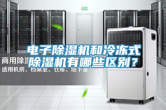 電子除濕機和冷凍式除濕機有哪些區別？