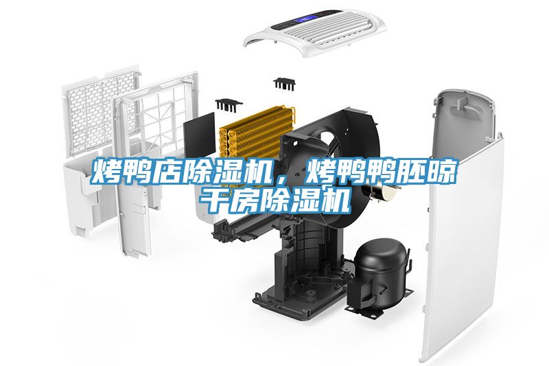 烤鴨店除濕機(jī)，烤鴨鴨胚晾干房除濕機(jī)