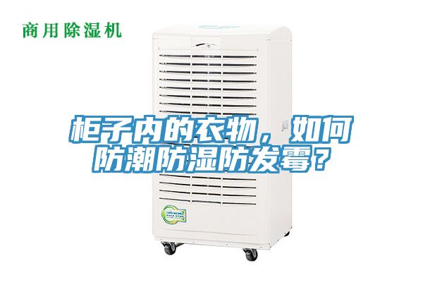 柜子內的衣物,如何防潮防濕防發霉?