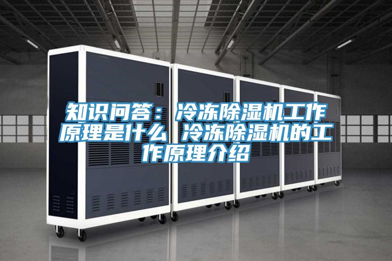 知識問答：冷凍除濕機工作原理是什么 冷凍除濕機的工作原理介紹