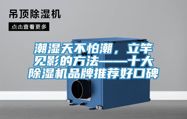 潮濕天不怕潮，立竿見影的方法——十大除濕機品牌推薦好口碑