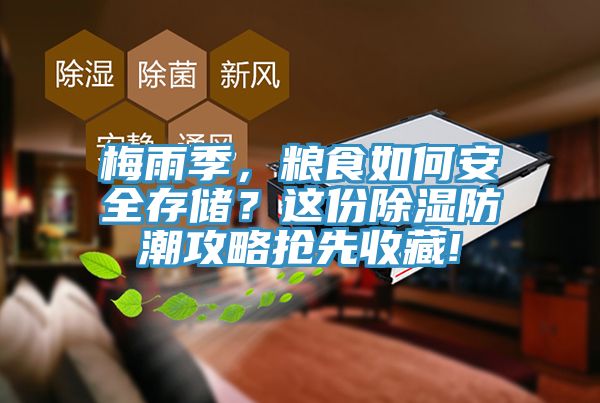 梅雨季，糧食如何安全存儲？這份除濕防潮攻略搶先收藏!