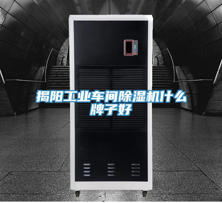 揭陽(yáng)工業(yè)車間除濕機(jī)什么牌子好