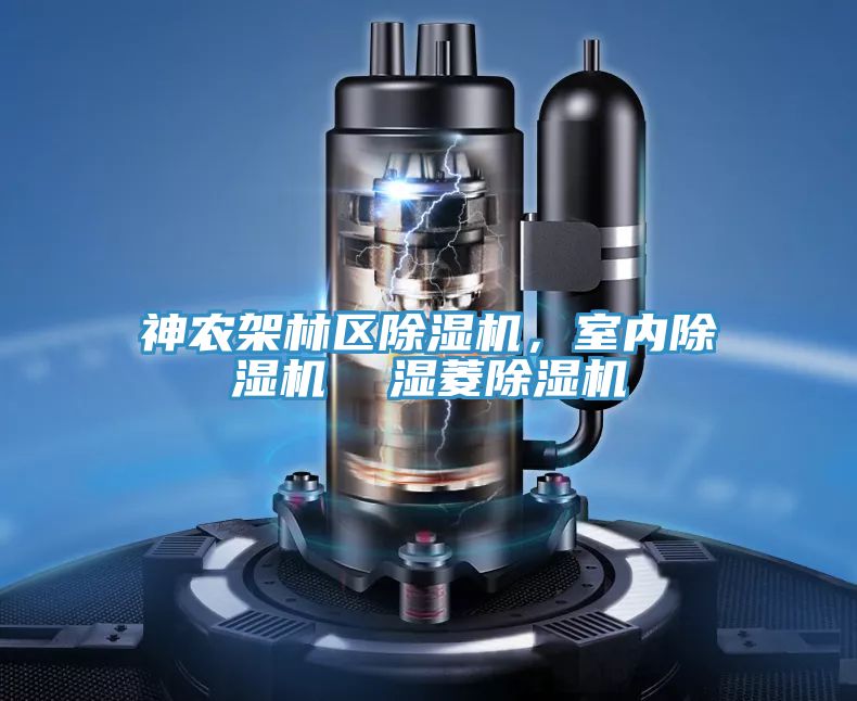 神農架林區除濕機，室內除濕機  濕菱除濕機