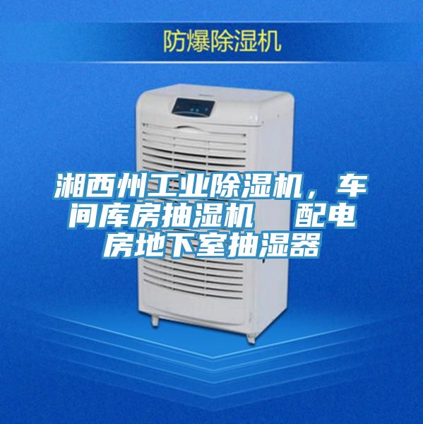 湘西州工業(yè)除濕機,車間庫房抽濕機 配電房地下室抽濕器