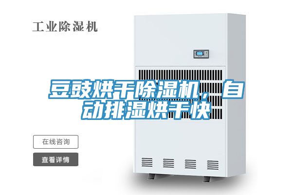 豆豉烘干除濕機(jī)，自動排濕烘干快