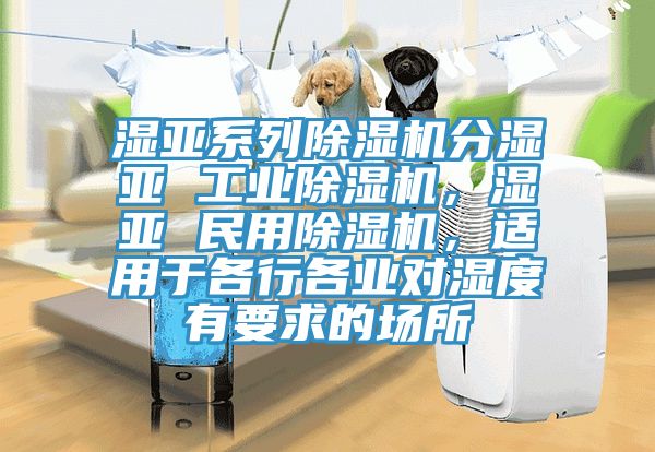 濕亞系列除濕機分濕亞 工業(yè)除濕機,濕亞 民用除濕機,適用于各行各業(yè)對濕度有要求的場所
