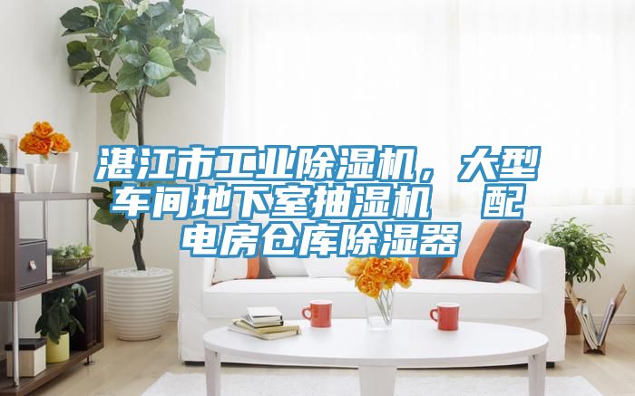 湛江市工業(yè)除濕機,大型車間地下室抽濕機 配電房倉庫除濕器