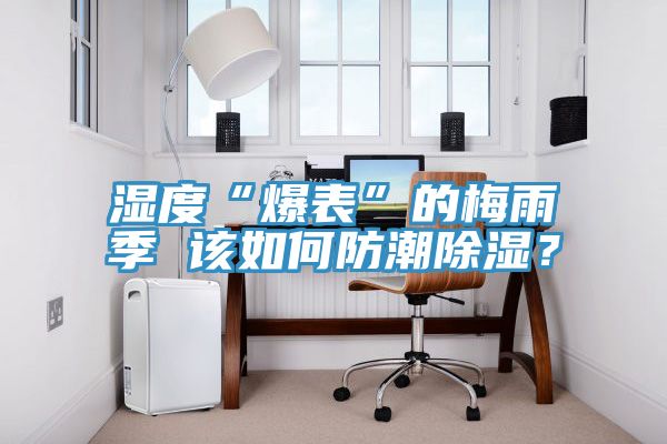 濕度“爆表”的梅雨季 該如何防潮除濕?