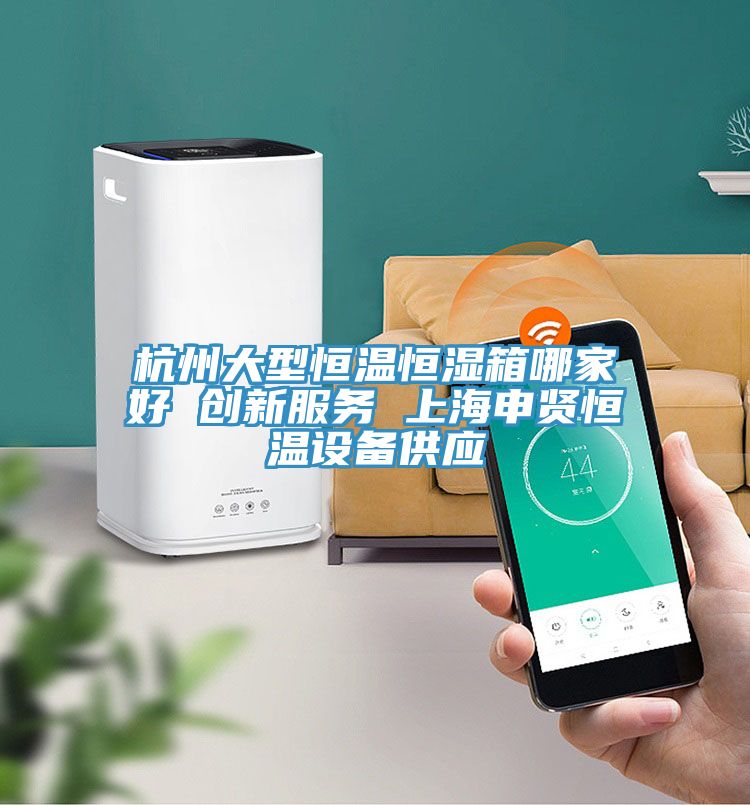 杭州大型恒溫恒濕箱哪家好 創(chuàng)新服務 上海申賢恒溫設(shè)備供應