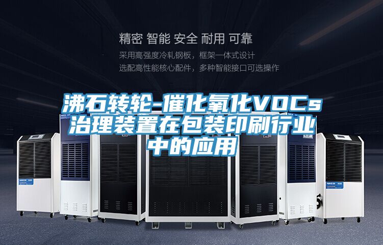 沸石轉(zhuǎn)輪-催化氧化VOCs治理裝置在包裝印刷行業(yè)中的應(yīng)用