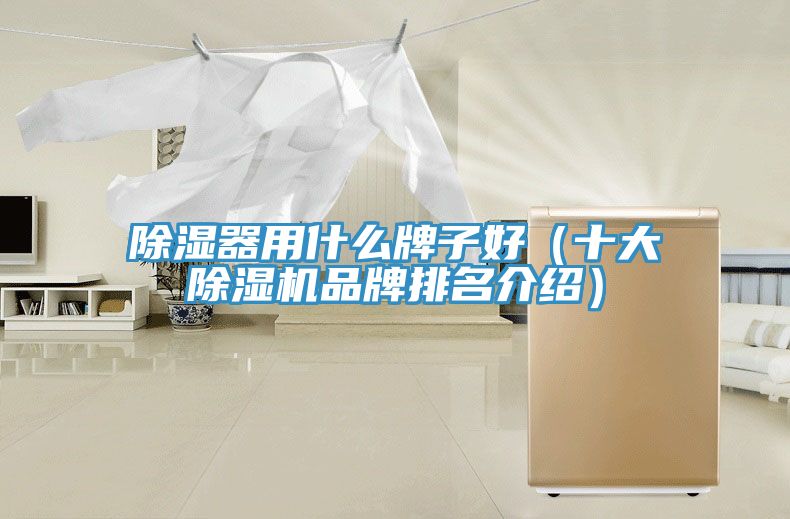 除濕器用什么牌子好(十大除濕機品牌排名介紹)