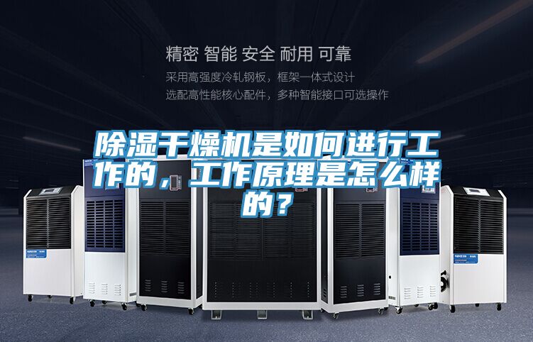 除濕干燥機是如何進行工作的，工作原理是怎么樣的？