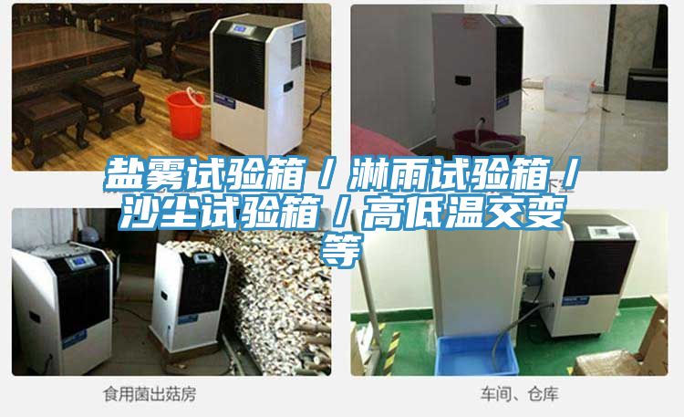 鹽霧試驗箱/淋雨試驗箱/沙塵試驗箱/高低溫交變等