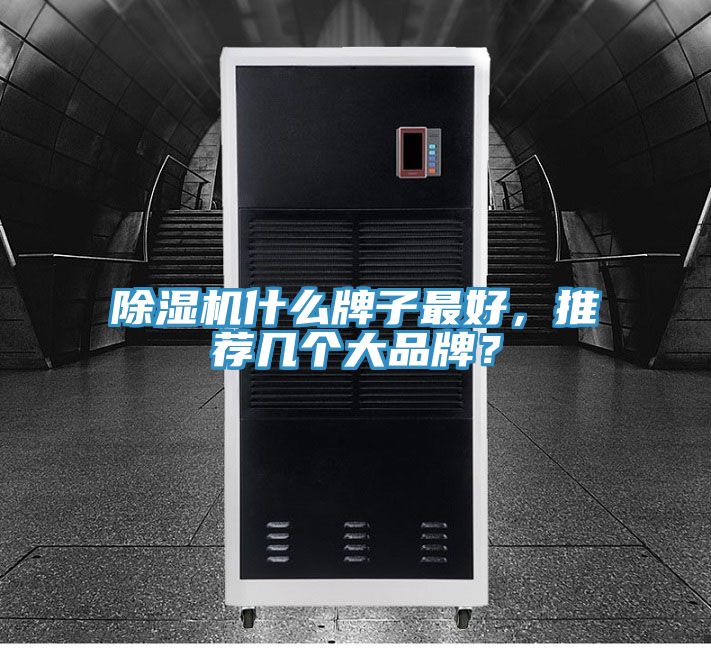 除濕機什么牌子最好，推薦幾個大品牌？