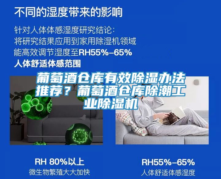 葡萄酒倉(cāng)庫有效除濕辦法推薦？葡萄酒倉(cāng)庫除潮工業(yè)除濕機(jī)