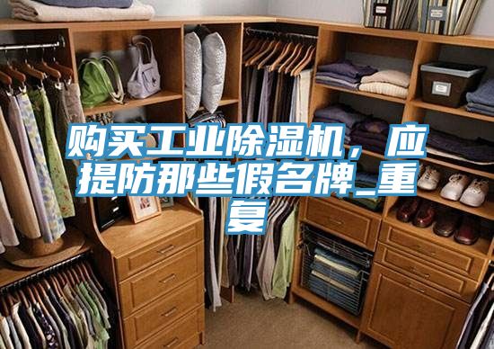 購買工業除濕機，應提防那些假名牌_重復