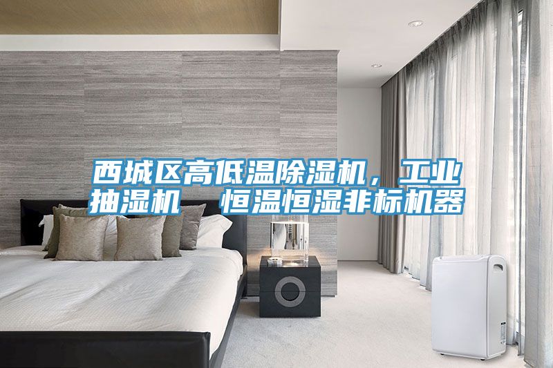 西城區高低溫除濕機,工業抽濕機 恒溫恒濕非標機器