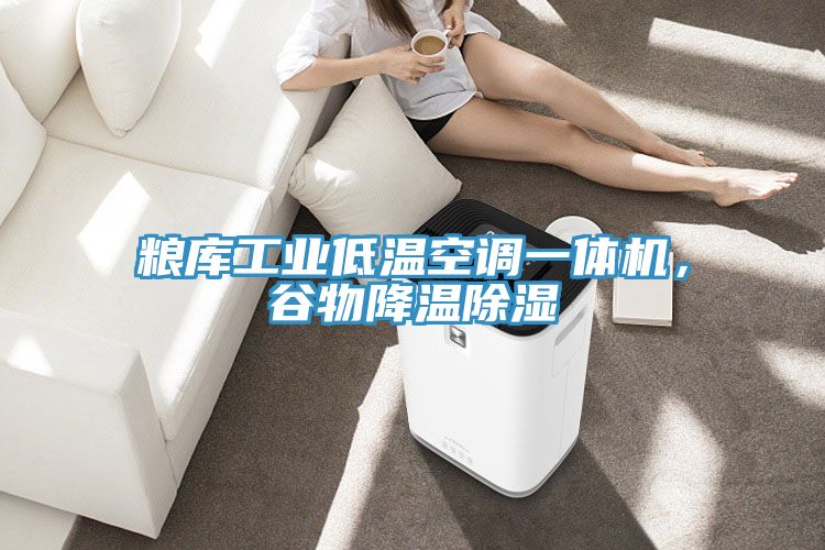 糧庫(kù)工業(yè)低溫空調(diào)一體機(jī)，谷物降溫除濕