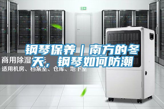 鋼琴保養(yǎng)|南方的冬天,鋼琴如何防潮