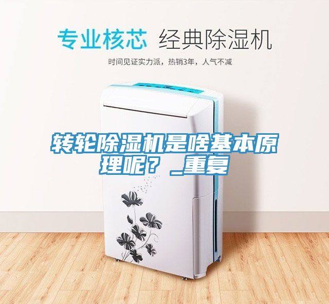 轉輪除濕機是啥基本原理呢？_重復
