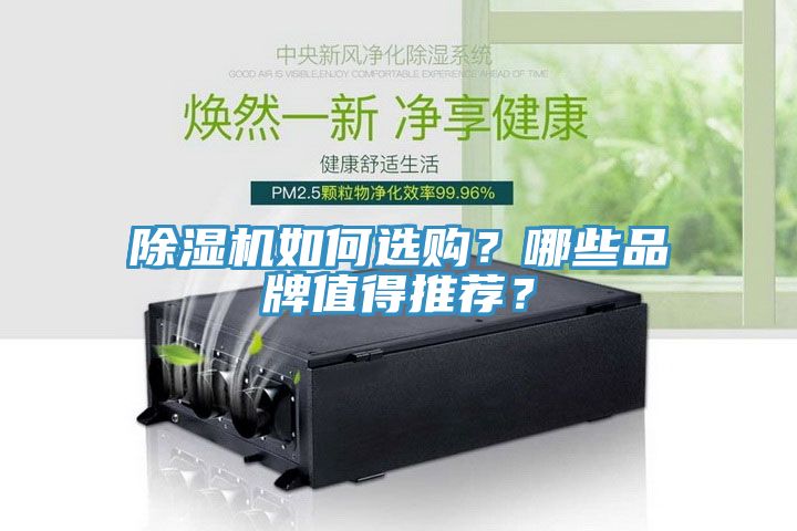 除濕機如何選購？哪些品牌值得推薦？