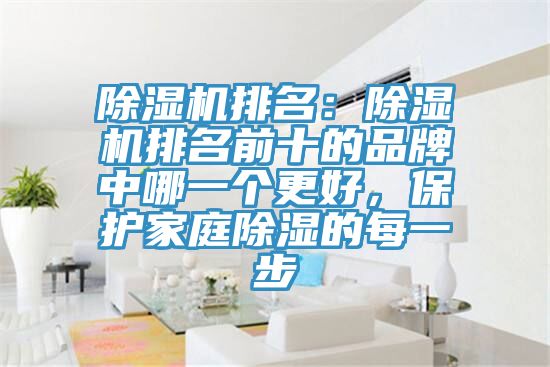 除濕機(jī)排名：除濕機(jī)排名前十的品牌中哪一個更好，保護(hù)家庭除濕的每一步