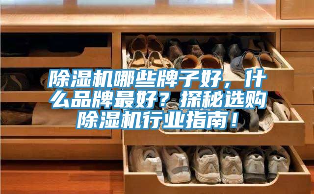 除濕機哪些牌子好，什么品牌最好？探秘選購除濕機行業指南！