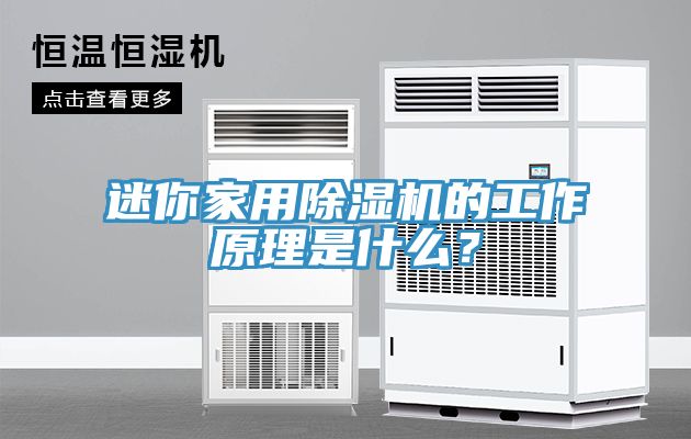 迷你家用除濕機的工作原理是什么？
