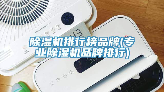 除濕機排行榜品牌(專業除濕機品牌排行)