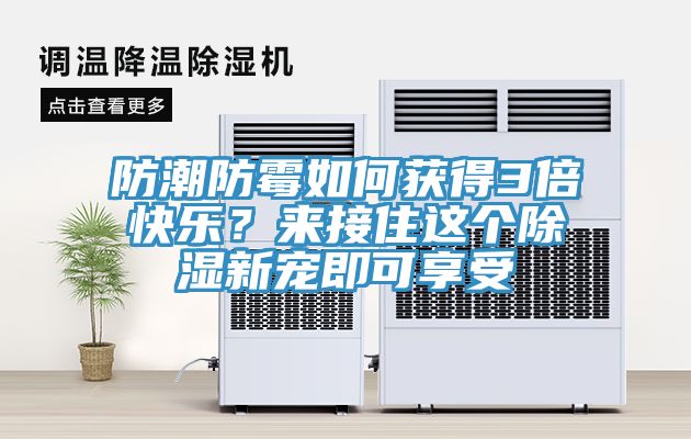 防潮防霉如何獲得3倍快樂?來接住這個(gè)除濕新寵即可享受