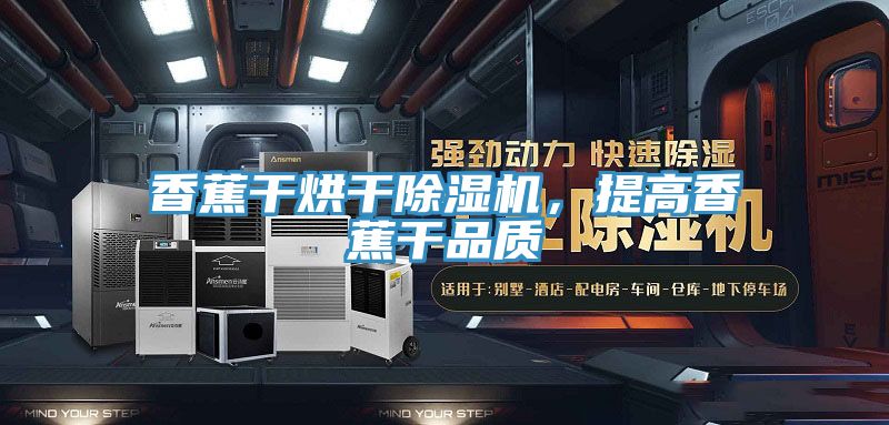 香蕉干烘干除濕機,提高香蕉干品質