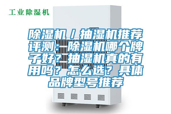 除濕機／抽濕機推薦評測：除濕機哪個牌子好？抽濕機真的有用嗎？怎么選？具體品牌型號推薦