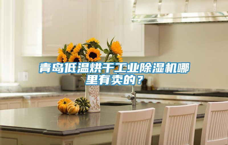 青島低溫烘干工業(yè)除濕機哪里有賣的?
