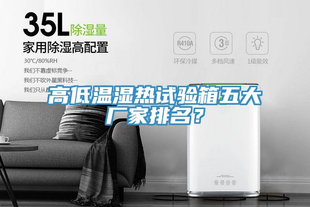 高低溫濕熱試驗箱五大廠家排名？